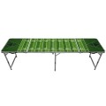 Beer Pong Table 