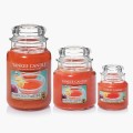 Yankee Candle Passion Fruit Martini Bougies Jarres