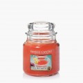 Yankee Candle Passion Fruit Martini Bougies Jarres