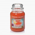 Yankee Candle Passion Fruit Martini Bougies Jarres