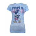 mickey-usa-