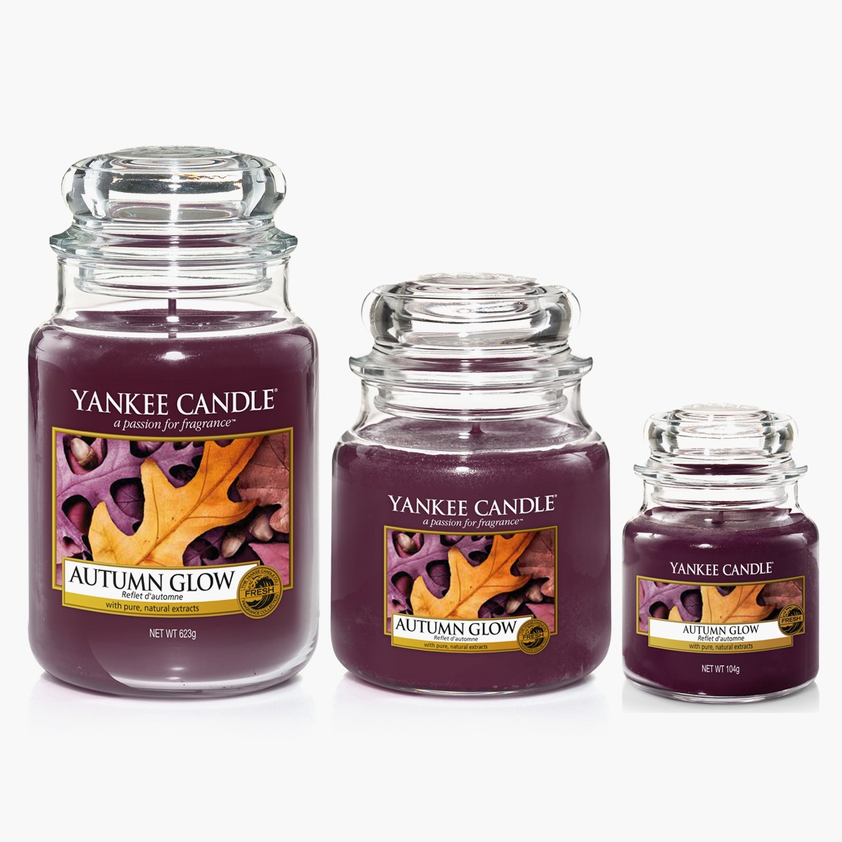 Yankee Candle Bougies Jarres Autumn Glow
