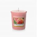 Sun Drenched Apricot Rose Votive