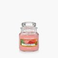 Sun-Drenched Apricot Rose Bougies Jarres
