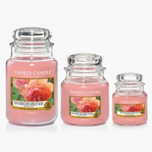 Sun-Drenched Apricot Rose Bougies Jarres