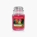 Tropical Jungle Bougies Jarres