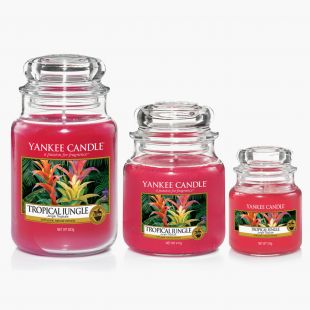 Tropical Jungle Bougies Jarres