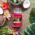 Tropical Jungle Bougies Jarres