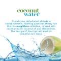 ogx Coconut Water Conditioner