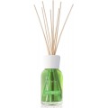 Diffuseur à Roseaux 100ml Green Fig & Iris