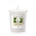Camelia Blossom Votive