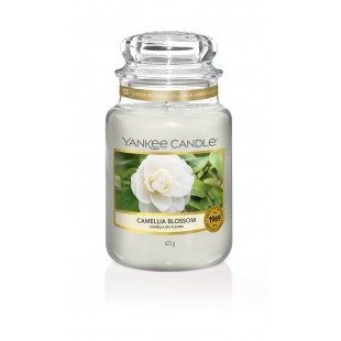 Camelia Blossom Jarres Yankee Candle