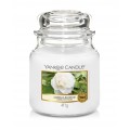 Camelia Blossom Jarres Yankee Candle