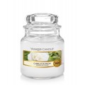 Camelia Blossom Jarres Yankee Candle