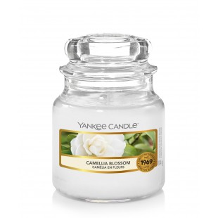 Camelia Blossom Bougies Jarres