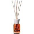 Diffuseur à Roseaux 100ml Vanilla & Wood