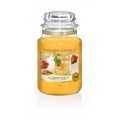 Yankee Candle Calamansi Cocktail Bougies Jarres