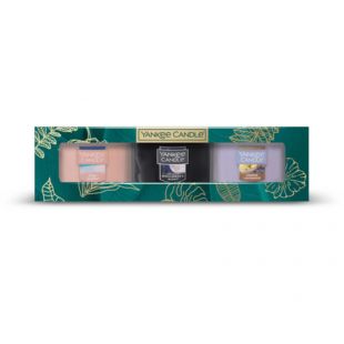 Coffret 3 Miniatures The Last Paradise