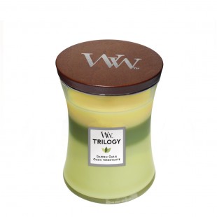 Trilogy Garden Oasis Bougies WoodWick