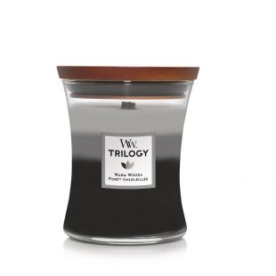 Trilogy Warm Woods Bougies WoodWick