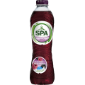 SPA FRUIT Raspberry Blackcurrent