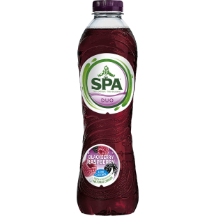 SPA FRUIT Raspberry Blackcurrent