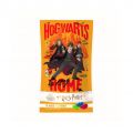 Jelly Belly 10 Parfums Harry Potter