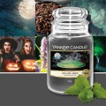 Yankee Candle Witches Brew Halloween