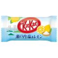 Kit Kat Salt Lemon Japan 139g