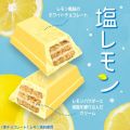 Kit Kat Salt Lemon Japan 139g