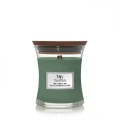 Mint Leaves & Oak Bougies WoodWick