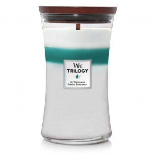 Trilogy Icy Woodland Bougies WoodWick