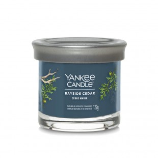 Yankee Candle Timbales Signature