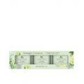 Cucumber Mint Cooler Coffret 3 Votives en Verre