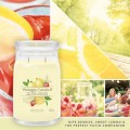 Yankee Candle Jarres Signature