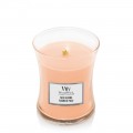 Fleurs de Yuzu Bougies WoodWick