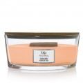 Fleurs de Yuzu Bougies WoodWick