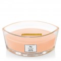 Fleurs de Yuzu Bougies WoodWick