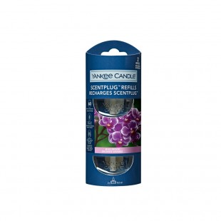 Wild Orchid ScentPlug Recharge
