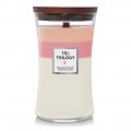 Trilogy Blooming Orchard Bougies WoodWick