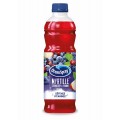 Cranberry Myrtille Ocean Spray