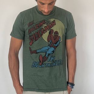 Amazing Spiderman Big on the web