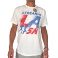 Streakin LA 5K