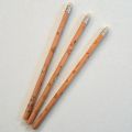 Crayon en bois Capybara lot de 3
