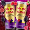 RED BULL BLACKCURRENT RASPBERRY ZERO 