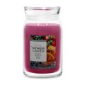 Jingle Mingle Jarres Signature