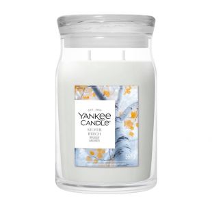 Silver Birch Jarres Signature