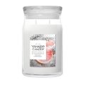 White Spruce & Grapefruit Jarres Signature
