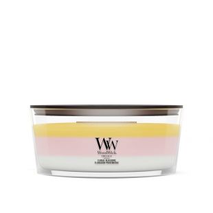 Floral Blossoms Trilogy Bougies WoodWick