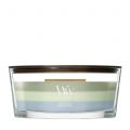 Verdant Woods Trilogy Bougies WoodWick